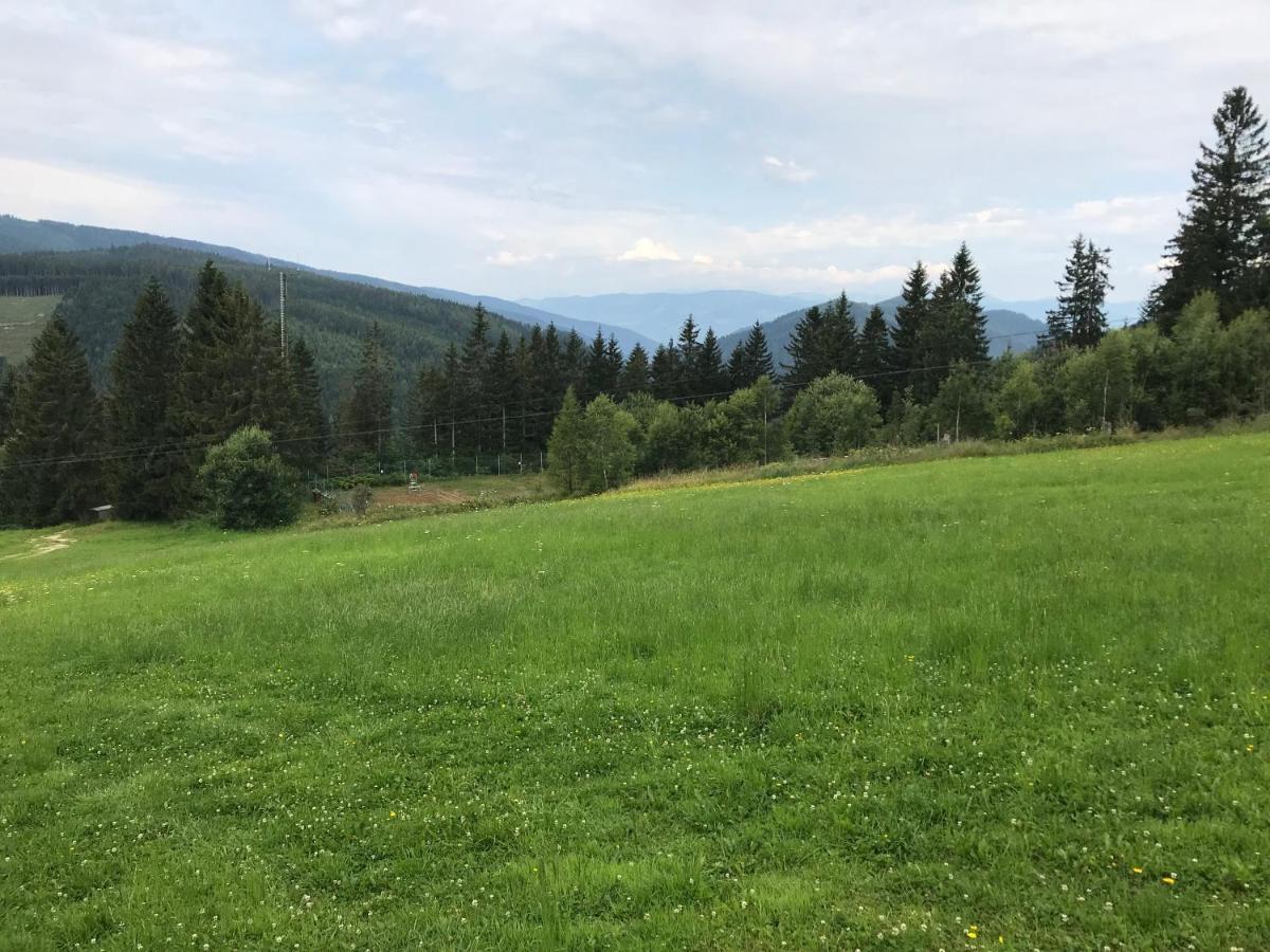 Das Alplresort "Almfrequenz" Krieglach Kültér fotó