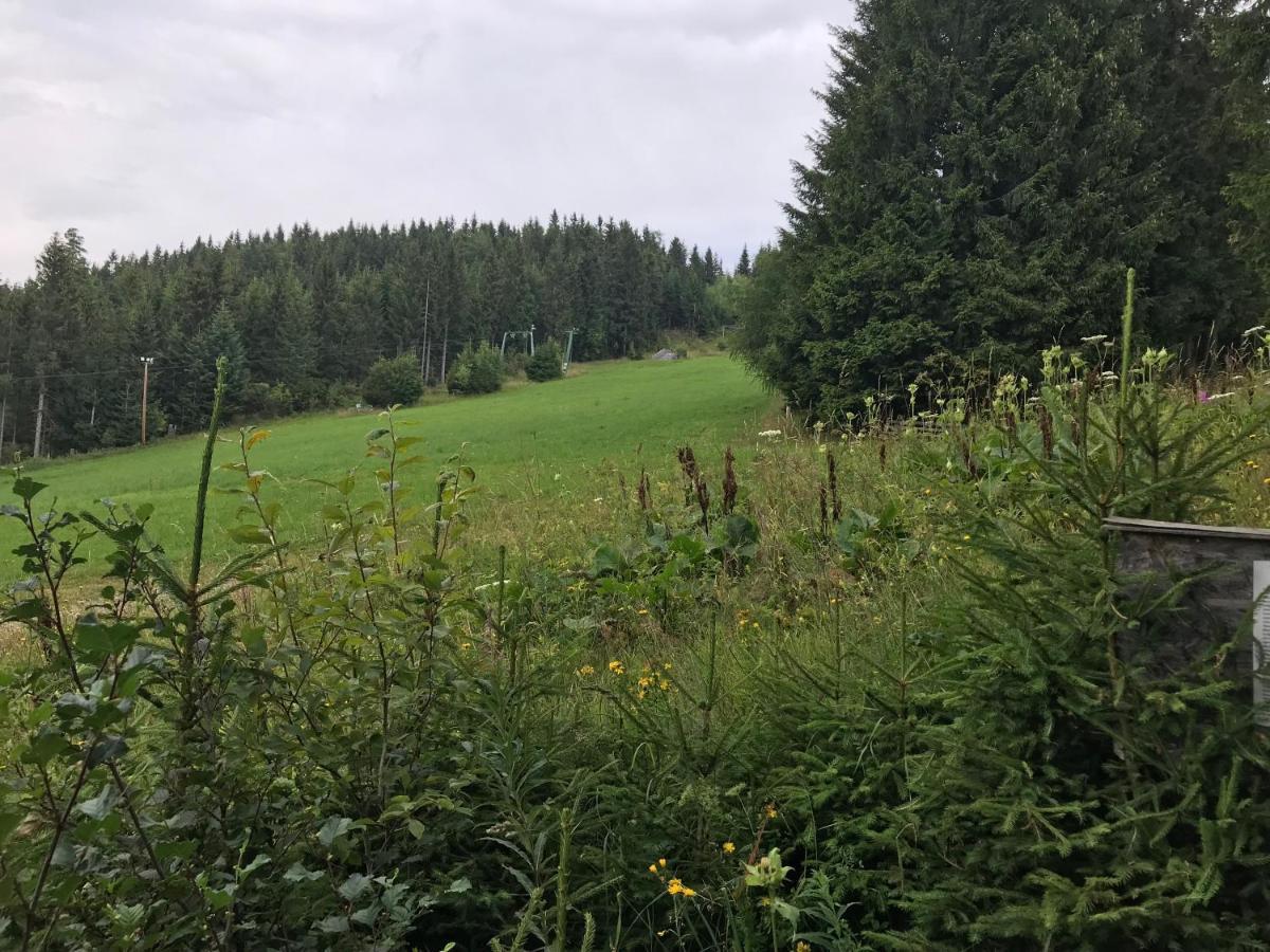 Das Alplresort "Almfrequenz" Krieglach Kültér fotó